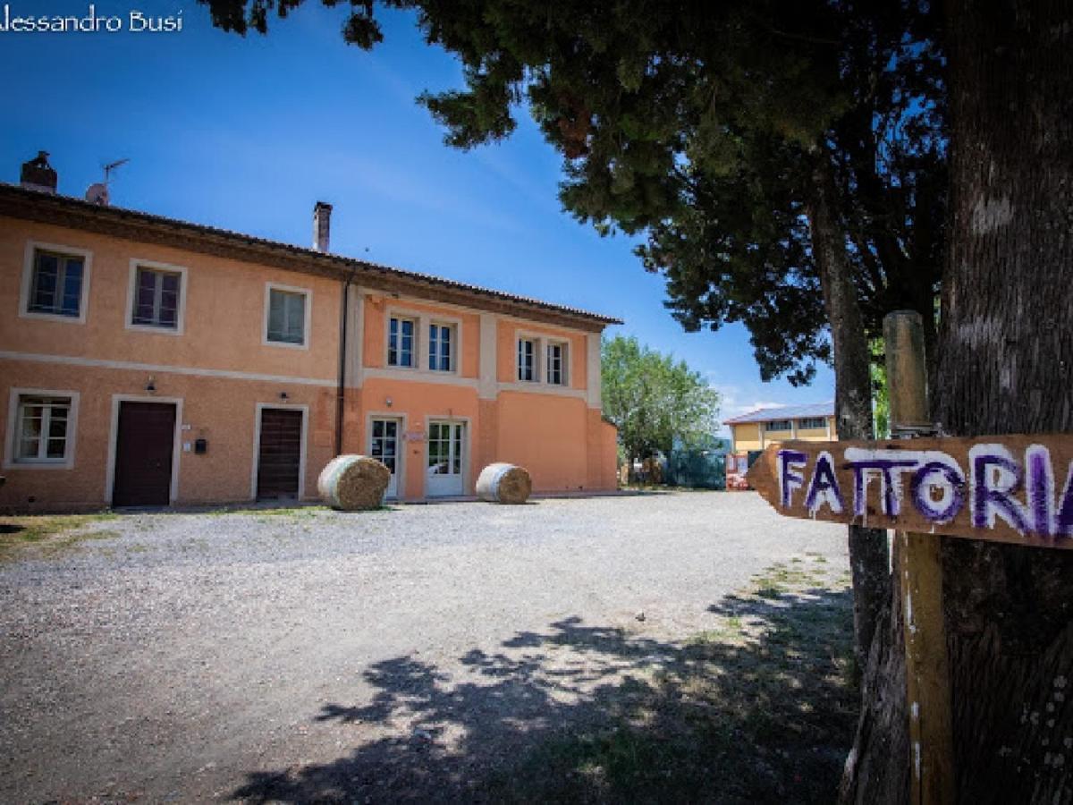 Agriturismo La Valle Della Lavanda - Podere Mezzastrada Fauglia Exterior foto
